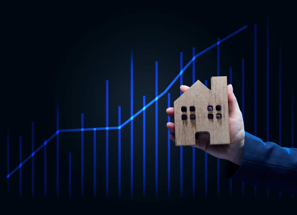 Kapitalanlage_Kachel02